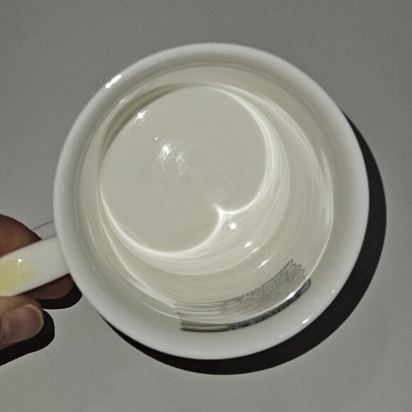 Jane Austen Book Characters Mug Coffee Cup Alison Gardiner Fine Bone China Darcy - Picture 10 of 13